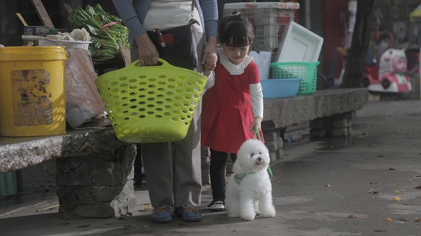小動(dòng)物演員